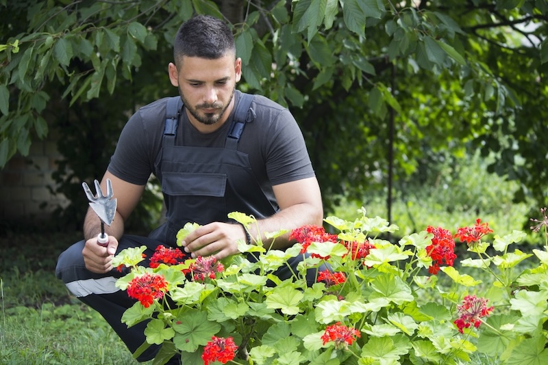 young beautiful gardener